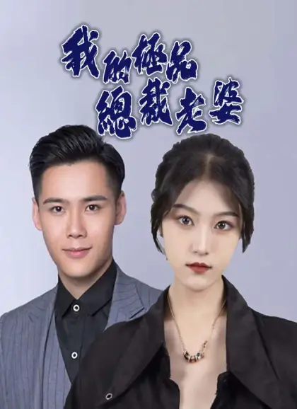 我的極品總裁老婆