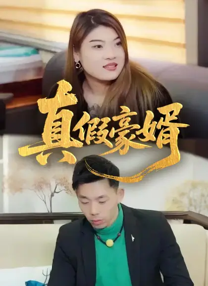 真假豪婿