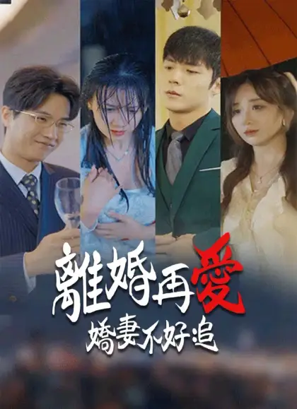 離婚再愛 嬌妻不好追