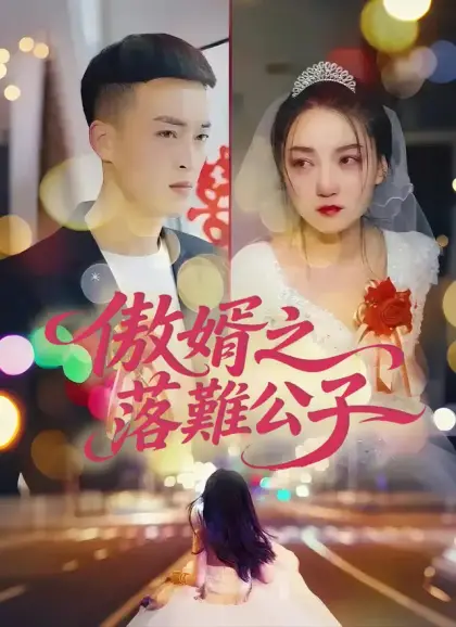 傲婿之落難公子